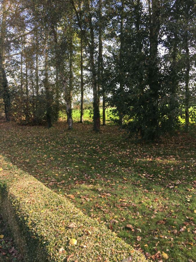Apartamento Au Coeur De La Flandre Noordpeene Exterior foto