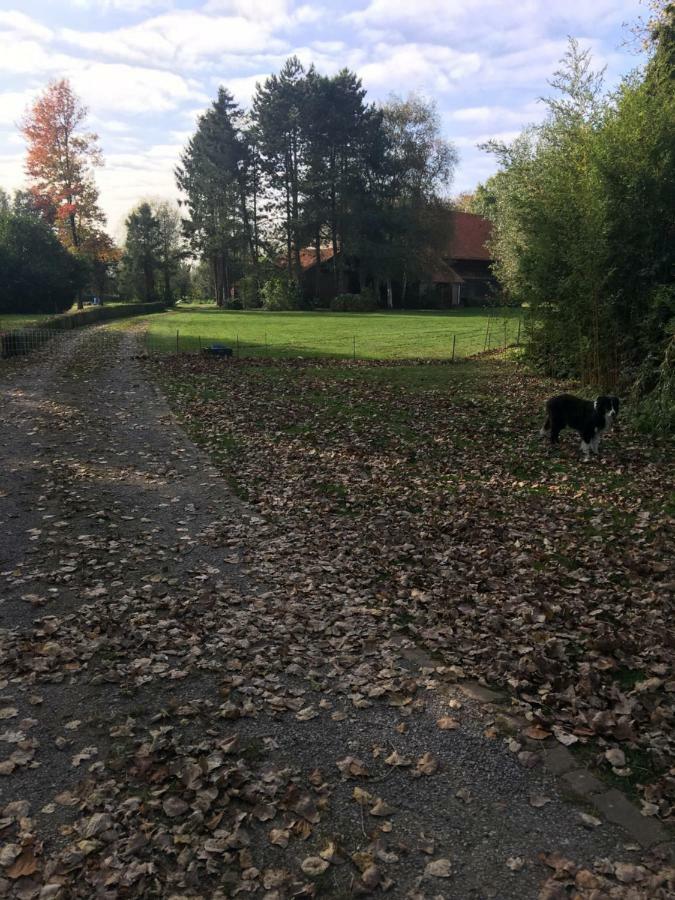 Apartamento Au Coeur De La Flandre Noordpeene Exterior foto